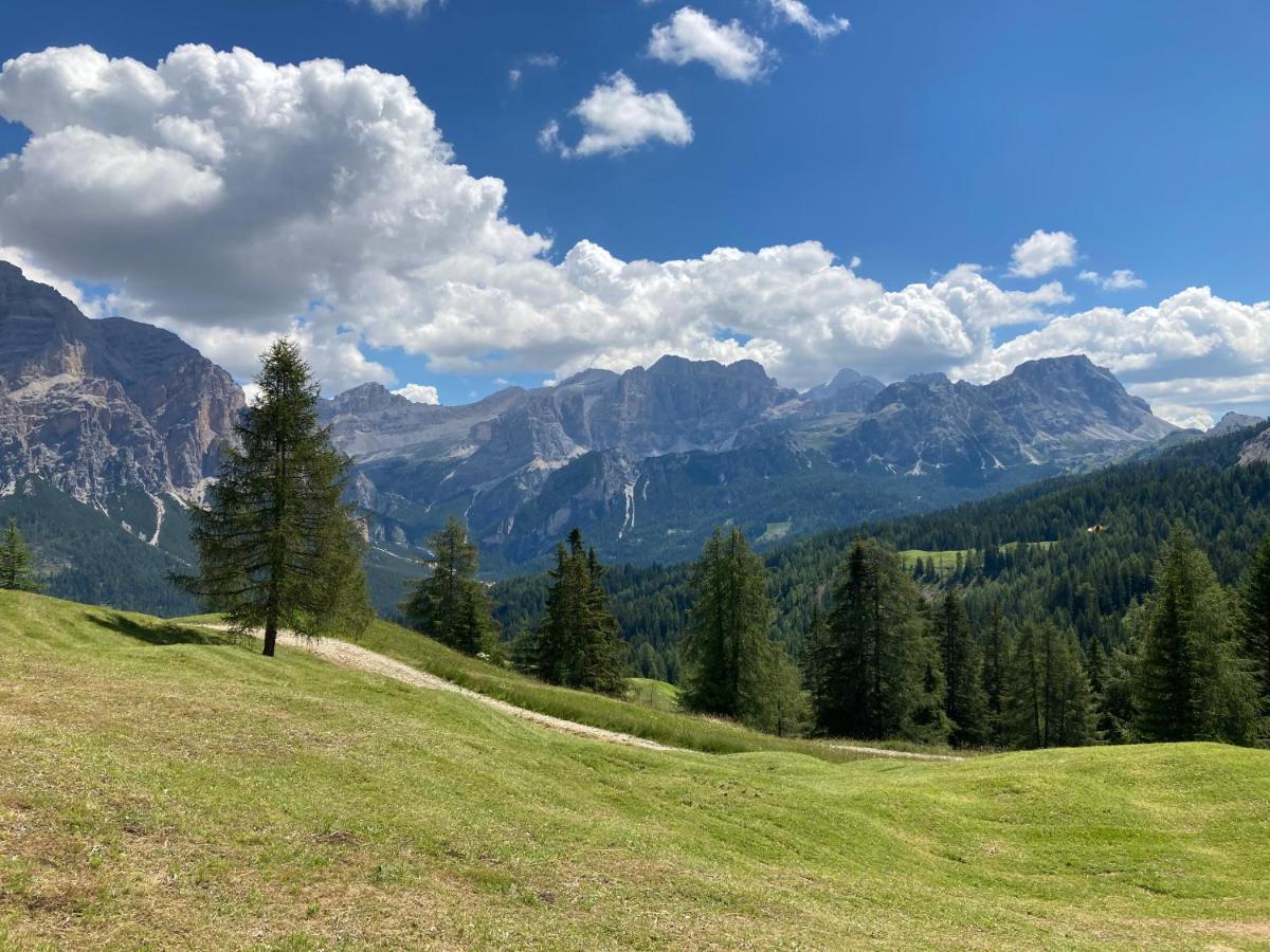 Appartamento A San Cassiano Nel Cuore Dell'Alta Val Badia In Confortevole Residence A Pochi Passi Dalla Bidonvia Sorega 外观 照片