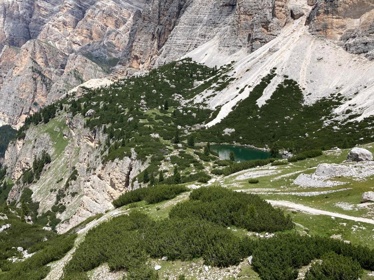 Appartamento A San Cassiano Nel Cuore Dell'Alta Val Badia In Confortevole Residence A Pochi Passi Dalla Bidonvia Sorega 外观 照片